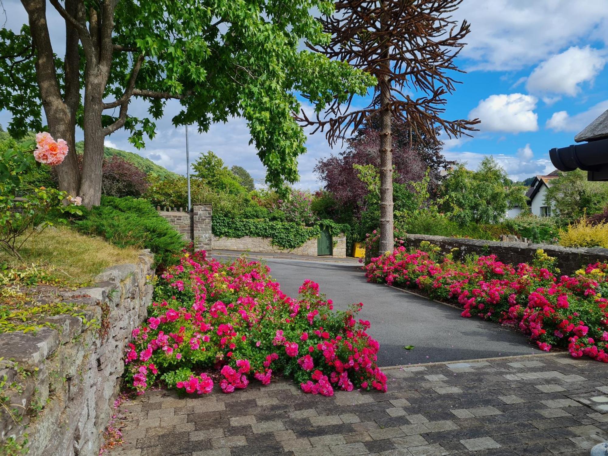 Camden Lodge B&B And Cottage Brecon Pokoj fotografie